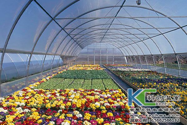 花卉種植溫室大棚建設